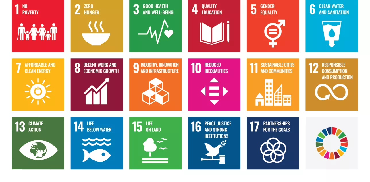 The 17 UN Sustainable Development Goals 